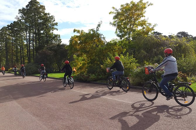 2h - Electric Bike Tour of Lyon with a Local Guide - Why an e-bike works so well in Lyon