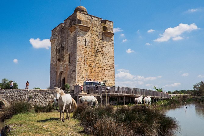 3.5 Hour Camargue 4x4 Safari from Le Grau-du Roi - How much value do you get for $77.40?