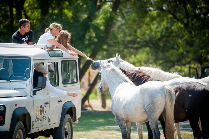 3.5 Hour Camargue 4x4 Safari from Le Grau-du Roi - Riding the private tracks by 4x4