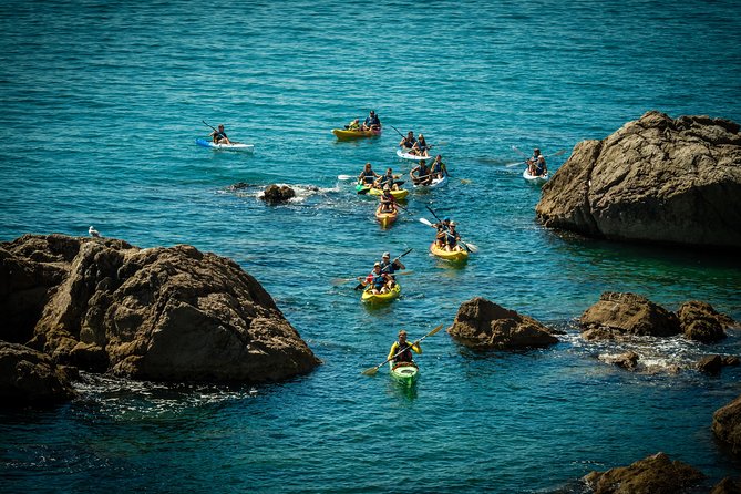 3 Hour of Sea Kayak Trip in the Creeks of Sete - Guides who make the three hours work