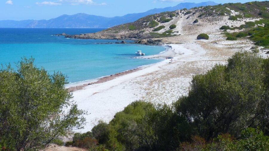 4x4 Agriates Desert and Beach Excursion from Calvi - Key details before you book