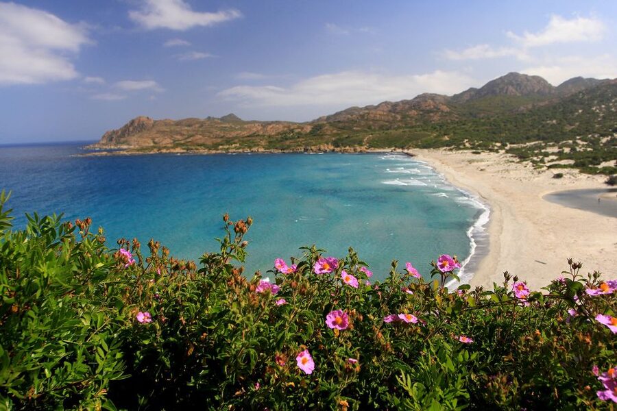4x4 Agriates Desert and Beach Excursion from Calvi - The walk toward Ghignu Beach