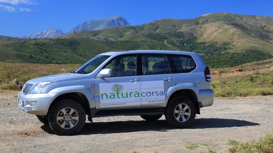 4x4 Agriates Desert and Beach Excursion from Calvi - Where Malfacu fits into the day