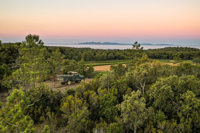 4x4 tour in a winery followed by a tasting - Provence terroir explained in plain language