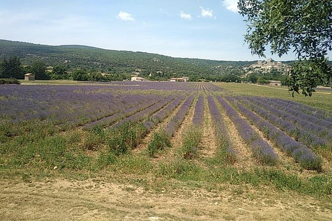 5-Hour Private Sightseeing Tour of the Provence from Marseille in Luxury Car - Beginning with Cezanne at Atelier des Lauves