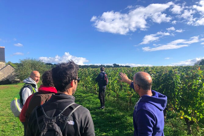Afternoon Loire Valley Wine Tour from Tours or Amboise - Transport, timing, and group size