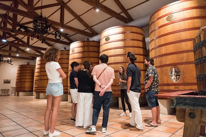 Afternoon Wine Tour to Chateauneuf du Pape from Avignon - The second winery and the risk of waiting