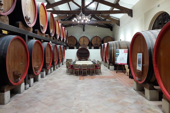 Afternoon Wine Tour to Chateauneuf du Pape from Avignon - Is $127.03 a fair price?