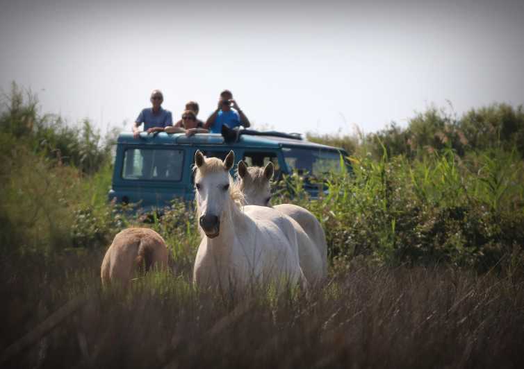 Aigues Mortes: Jeep Photo Safari in Camargue - Key points to know before you go