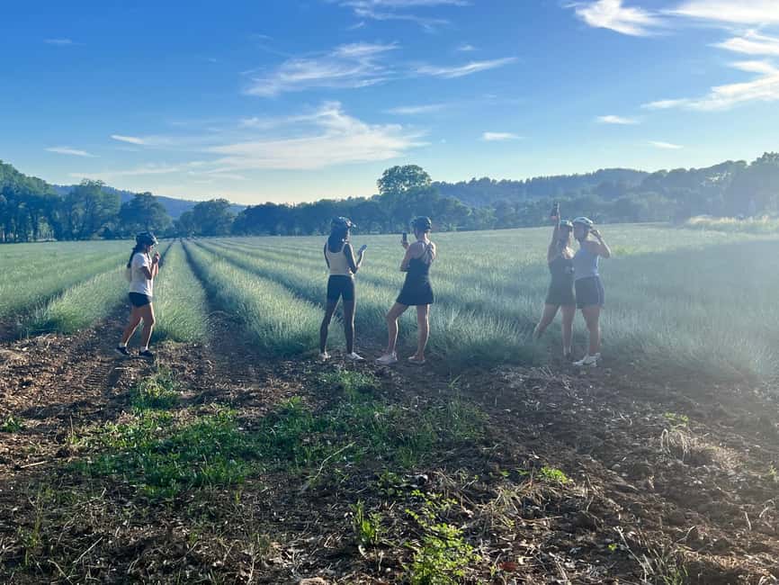 Aix-en-Provence: E-Bike Tour of Mount Sainte-Victoire - From Aix streets to open Provencal countryside