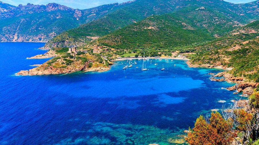 Ajaccio: Guided Scandola Nature Reserve Boat Tour - Anse Ficaghjola and Capo Rosso
