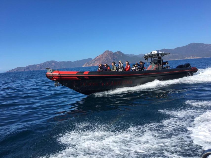 Ajaccio/Porticcio: Scandola & Piana Semi-Rigid Boat Day Trip - Key points to know before booking