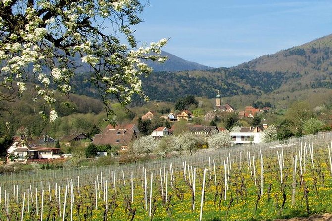 Alsace 4 Wonders Small-Group Day Trip from Colmar - The Alsace Wine Route between villages