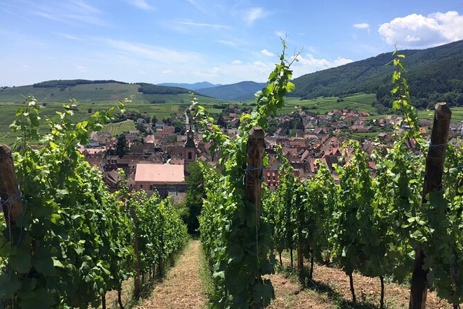 Alsace 4 Wonders Small-Group Day Trip from Colmar - Eguisheim first, before the crowds build