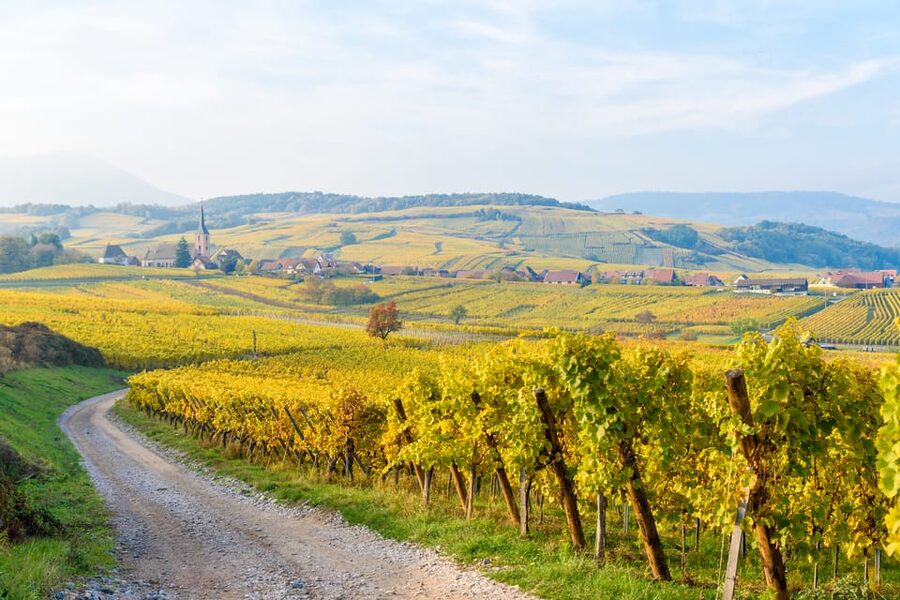 Alsace: Full-Day Wine Tour & Tastings from Strasbourg - Key points to know before booking