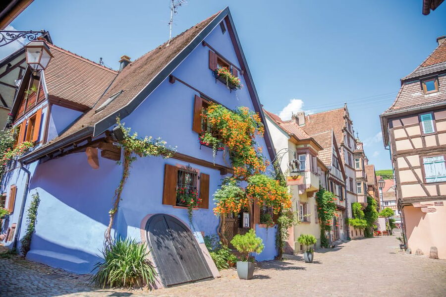 Alsace: Full-Day Wine Tour & Tastings from Strasbourg - Who should book this Alsace wine day?