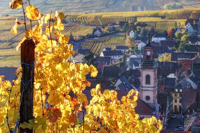 Alsace Half Day Wine Tour from Colmar - Key points at a glance