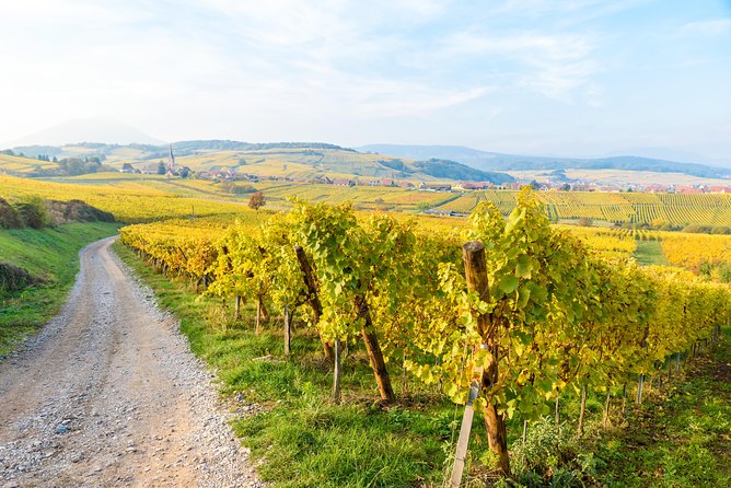 Alsace Half Day Wine Tour from Colmar - Village scenery and short stops along the way
