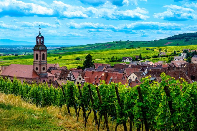 Alsace: Half-Day Wine Tour from Colmar - Meeting at 6 Rue Turenne and setting off