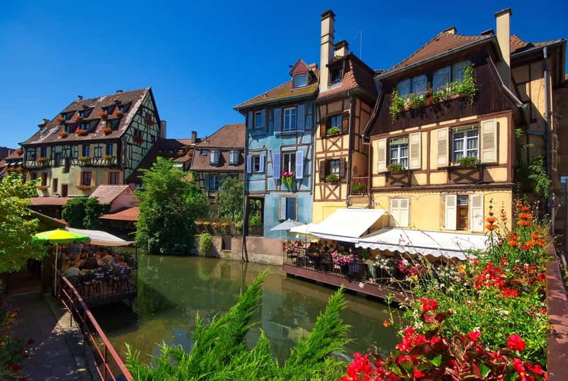 Alsace Half-Day Wine Tour from Strasbourg - Understanding Alsace’s seven wine types