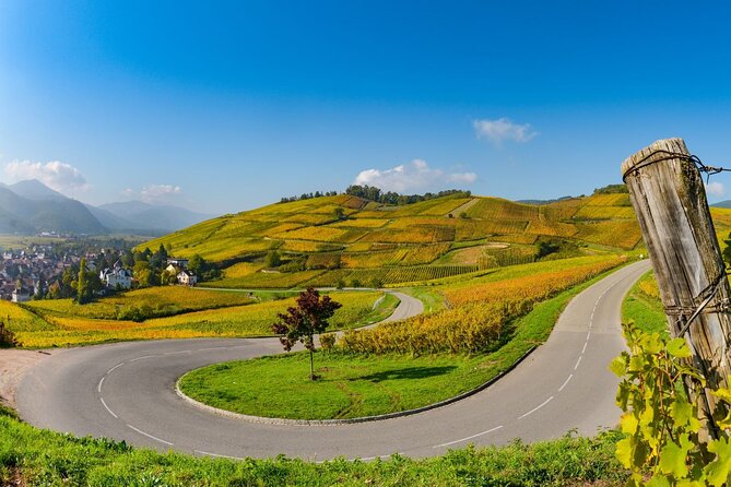 Alsace Wine Route Small Group Half-Day Tour with Tasting from Strasbourg - What you will taste, and how much
