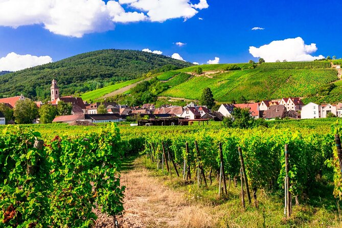 Alsace Wine Route Small Group Half-Day Tour with Tasting from Strasbourg - The guides make the difference
