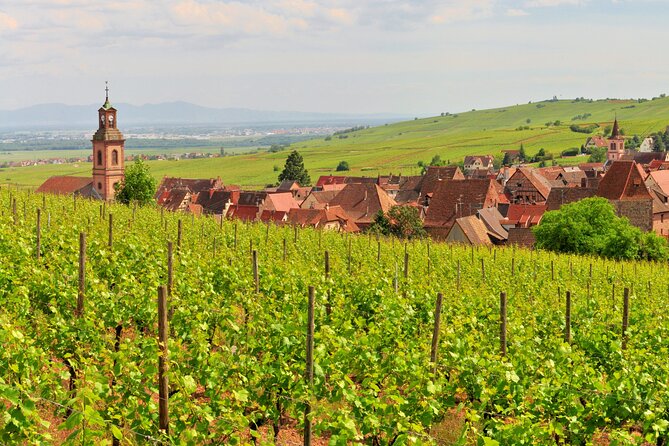 Alsace Wine Route Small Group Half-Day Tour with Tasting from Strasbourg - Is four hours enough for Alsace wine country?