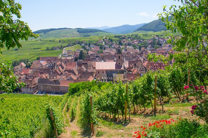 Alsace Wine Route Wineries & Tasting Small Group Guided Tour from Strasbourg - Lunch in a small village