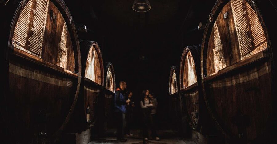 Alsatian Guided Wine Tasting and Immersive wine cellar tour - What makes this Gertwiller wine visit special