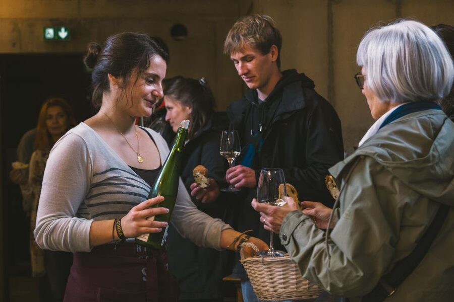 Alsatian Guided Wine Tasting and Immersive wine cellar tour - Should you book this Alsace wine tour?