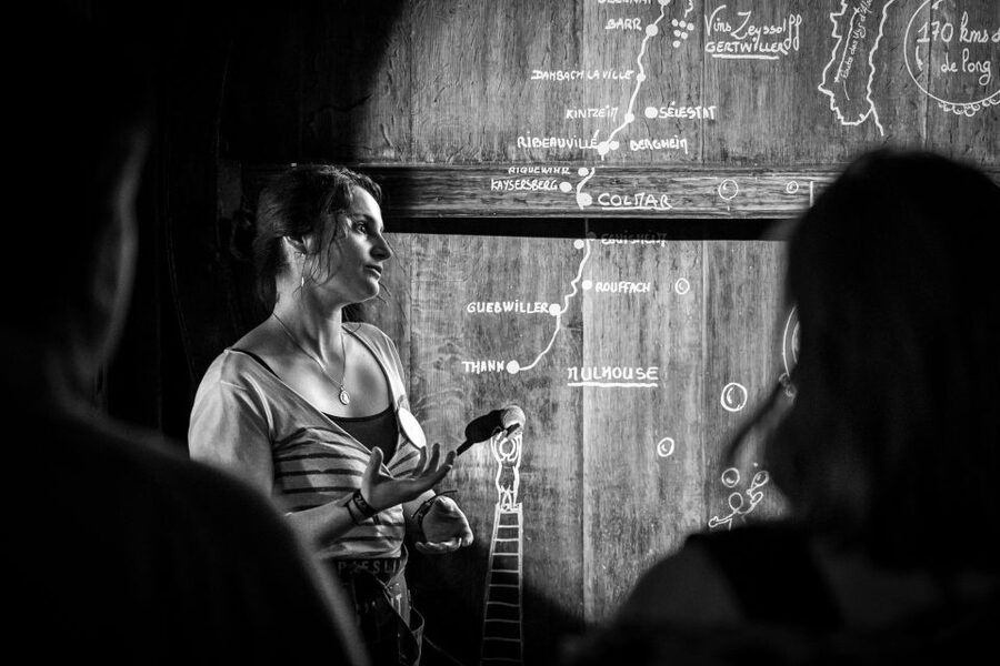 Alsatian Guided Wine Tasting and Immersive wine cellar tour - The 180-degree film across the barrels