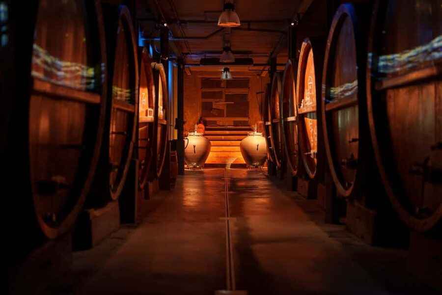 Alsatian Guided Wine Tasting and Immersive wine cellar tour - Shopping after the tasting