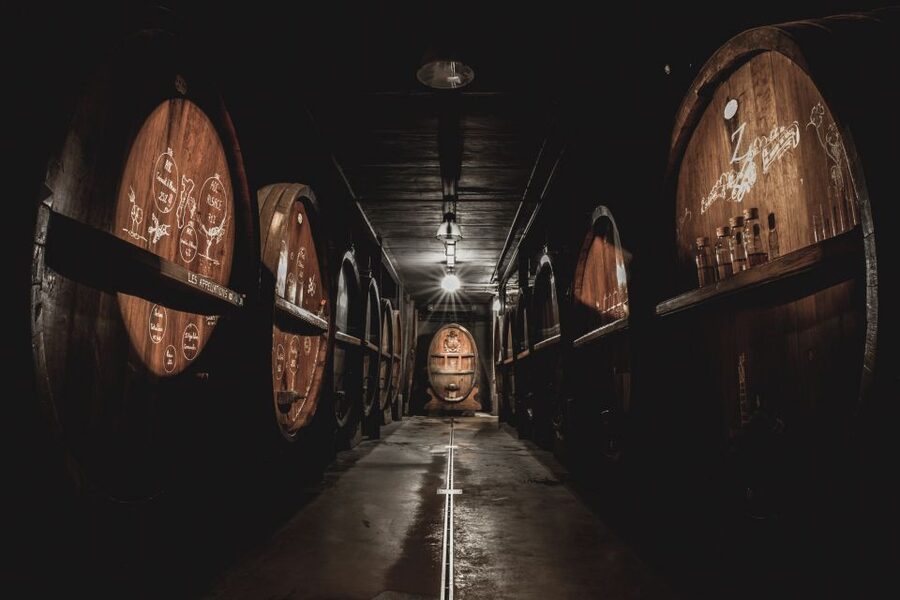 Alsatian Guided Wine Tasting and Immersive wine cellar tour - Practical details before you reserve