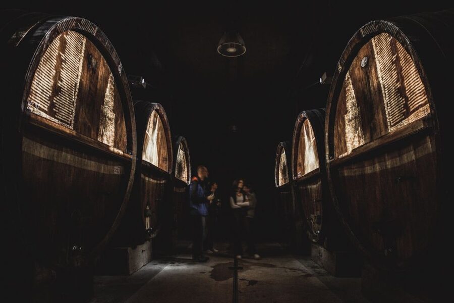 Alsatian Guided Wine Tasting and Immersive wine cellar tour - Five Alsace wines, from sparkling to sweet