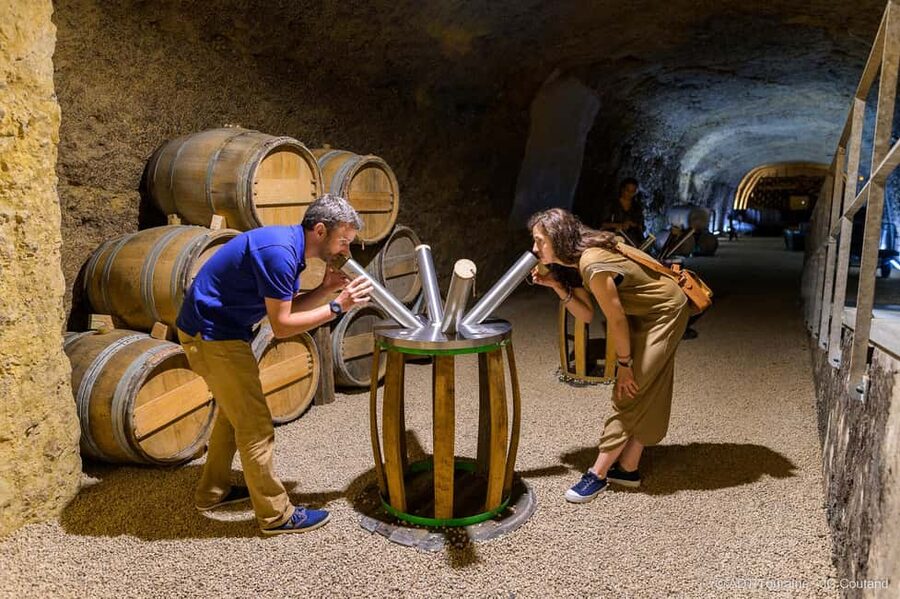 Amboise: Caves Ambacia Visit and Wine Tasting - Who will enjoy Caves Ambacia most?