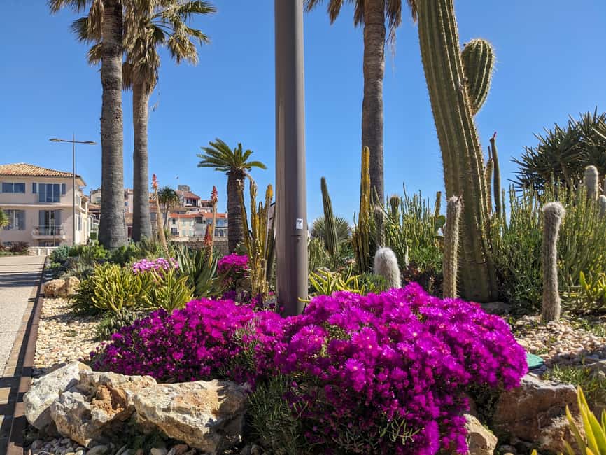 Antibes: 2 hour walking tour in the old town - What the guide adds for $29