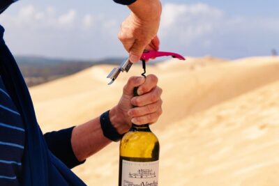 Arcachon Bay Full Day Trip from Bordeaux with lunch and Pyla Dune