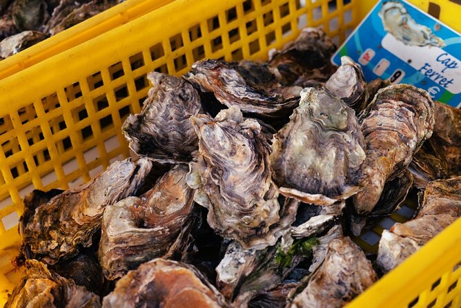 Arcachon Bay Full Day Trip from Bordeaux with lunch and Pyla Dune - Who should book this Arcachon Bay trip?