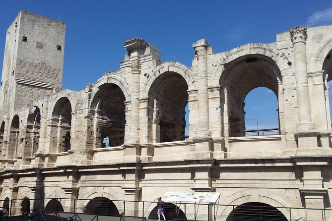Arles and Camargue Full-Day Tour including Aigues Mortes - Why this day trip works from Avignon