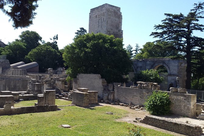 Arles and Camargue Full-Day Tour including Aigues Mortes - Arles, where Roman stone meets Van Gogh