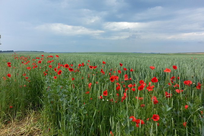 Australian private Somme tour including Sir John Monash Centre - Beaumont-Hamel and the preserved trenches