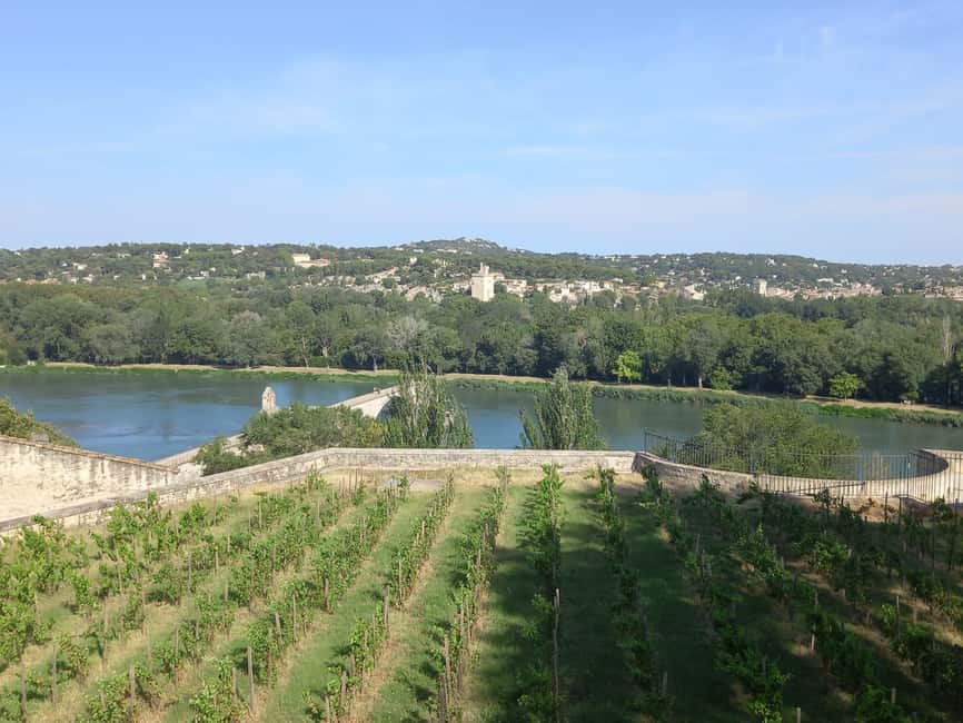 Avignon: City Walking Tour with Popes Palace Entry - Practical Tips for a Better Morning