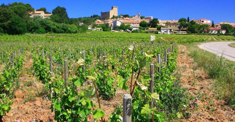 Avignon: Full-Day Wine Tour around Châteauneuf-du-Pape - Leaving Avignon for the southern Rhône