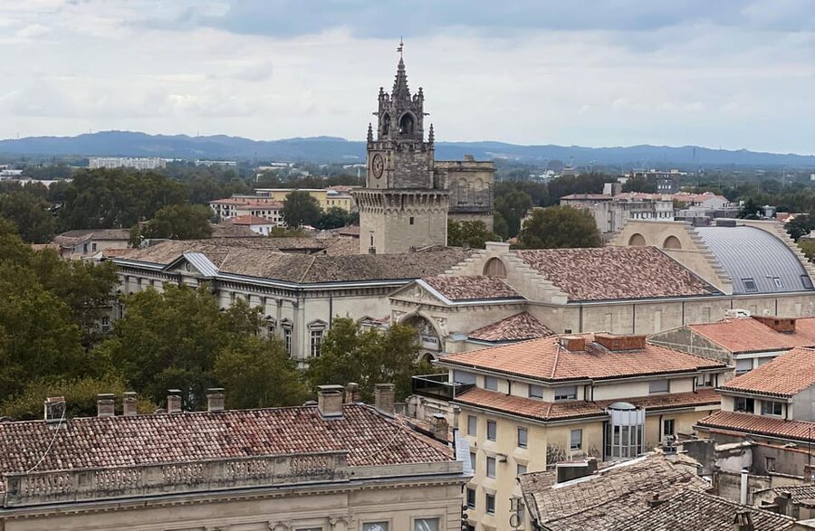 Avignon: History and Legend Walking Tour - At Pont Saint-Bénézet, Avignon’s famous broken bridge