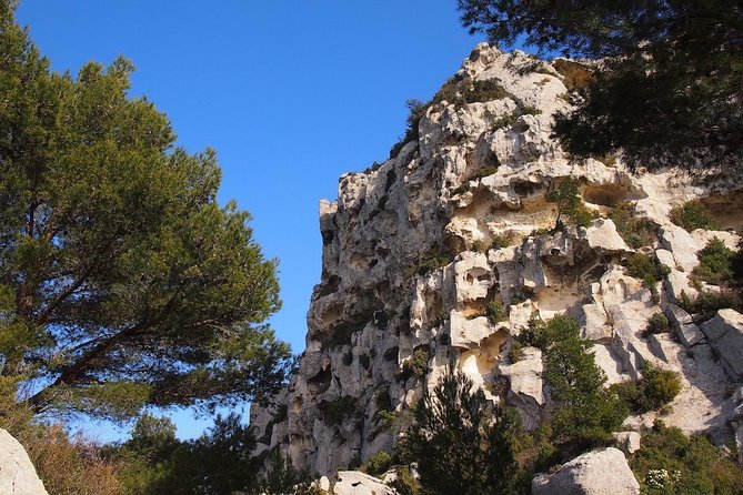 Avignon, Les Baux, St Remy and Arles from MARSEILLE - What your $186.23 buys