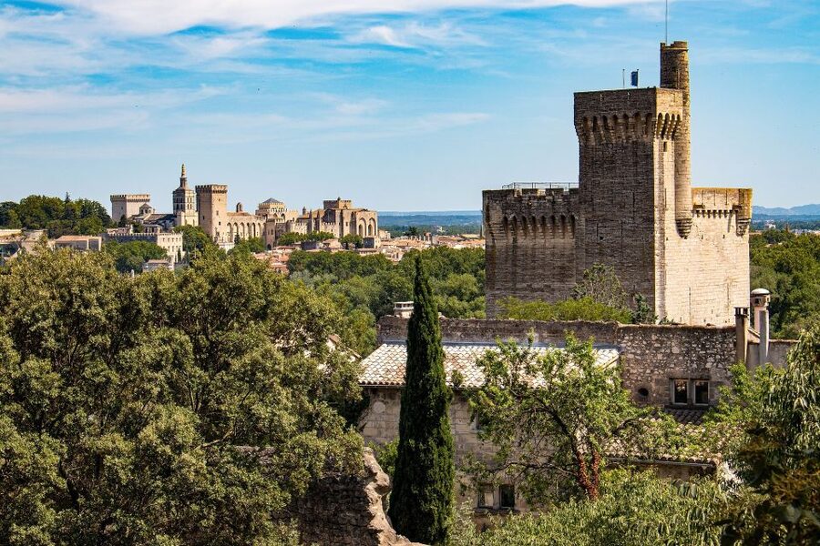Avignon: Private Walking Tour – Discover History & Heritage - Why Avignon makes a strong walking-tour city