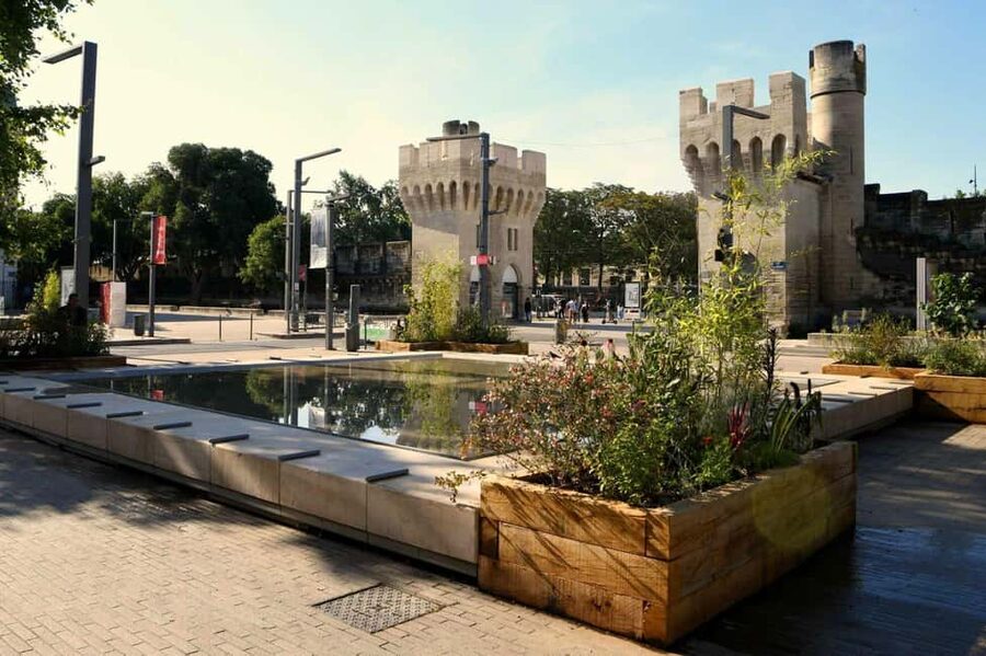 Avignon: Private Walking Tour – Discover History & Heritage - What the private guide adds