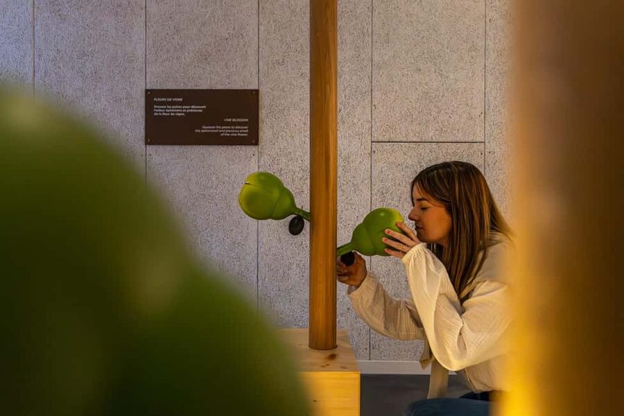 Aÿ-Champagne: Pressoria Champagne Museum with Tasting - Entering the sensory museum