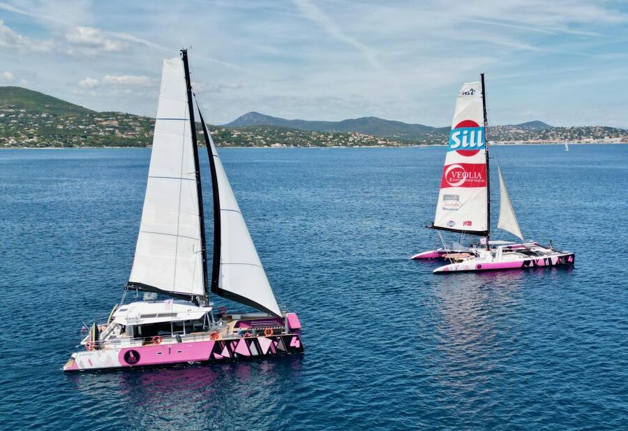 Baden: Gulf of Morbihan Exploration by Catamaran - Arradon, Arz, and the Gulf’s Inner Waters