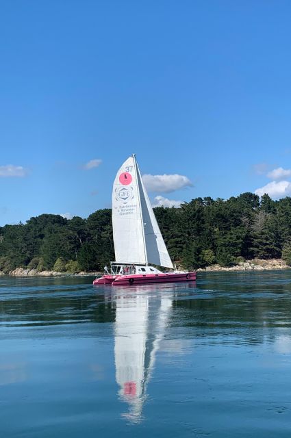 Bay of Quiberon or Morbihan gulf: Evening 2 hours navigation - What the two-hour evening itinerary feels like